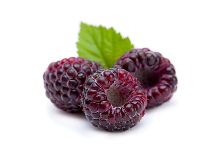 Black raspberries