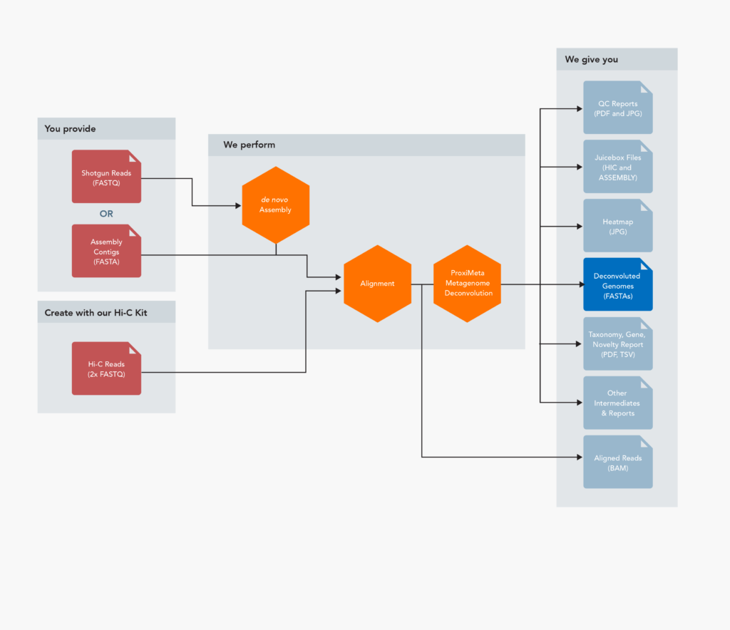 Bioinformatics - Phase Genomics