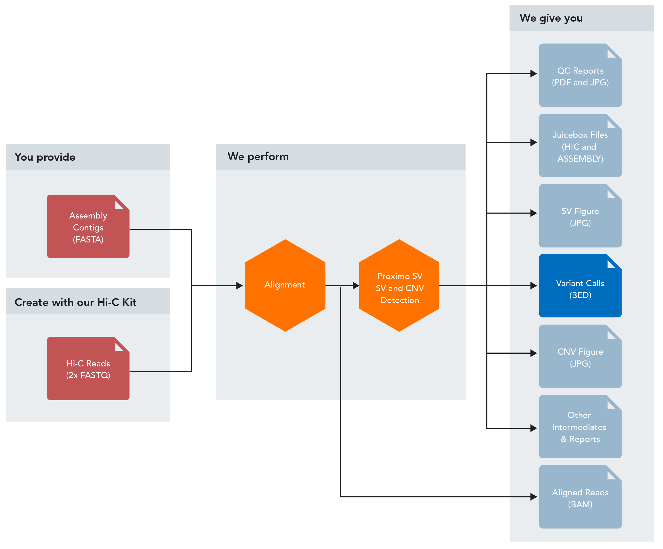 Bioinformatics Phase Genomics