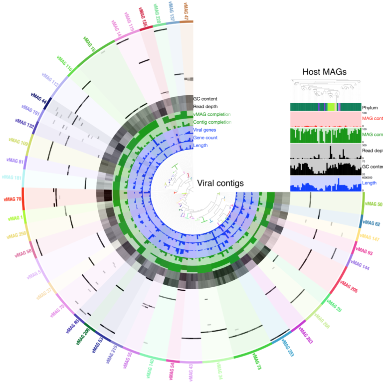 Viral Genome Reconstruction & Host Attribution - Phase Genomics