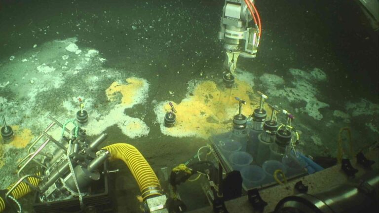 Hydrothermal vent on ocean floor depicting the microbial environment of the featured study