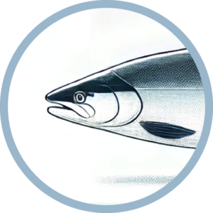 image of a salmon